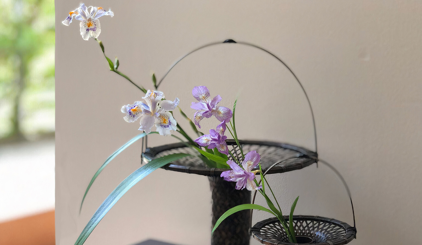 Flower Appreciation and Arrangement