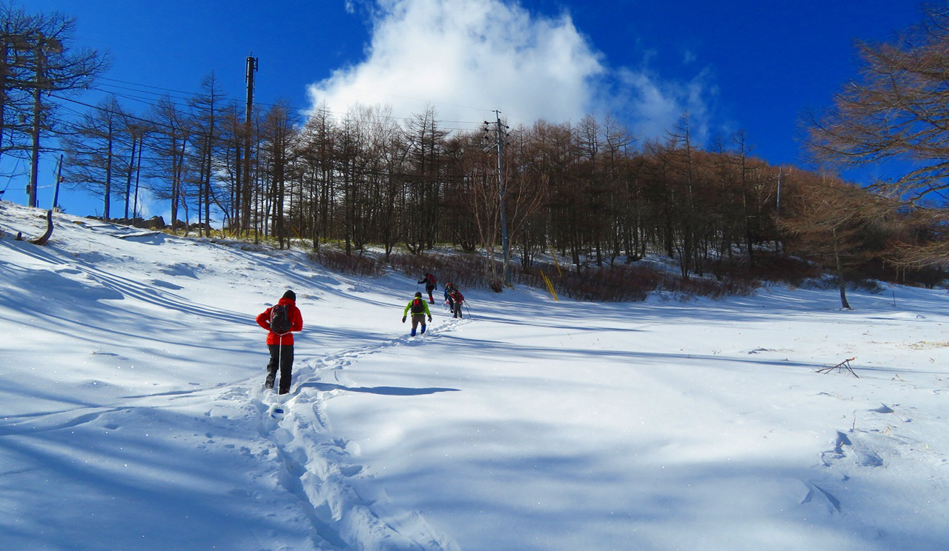 Private Snowshoe Trekking Tour (Winter Special)