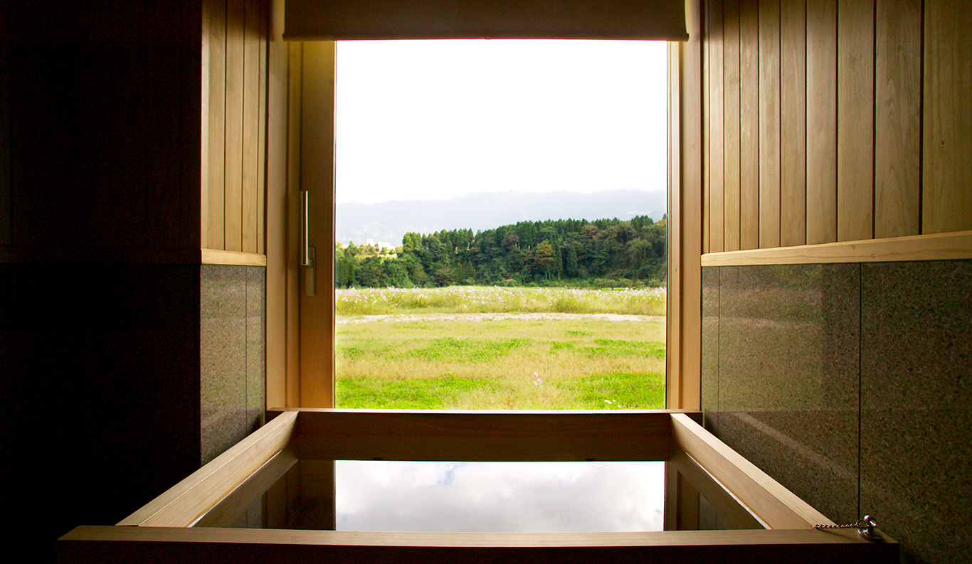 Japanese Modern Kozakura