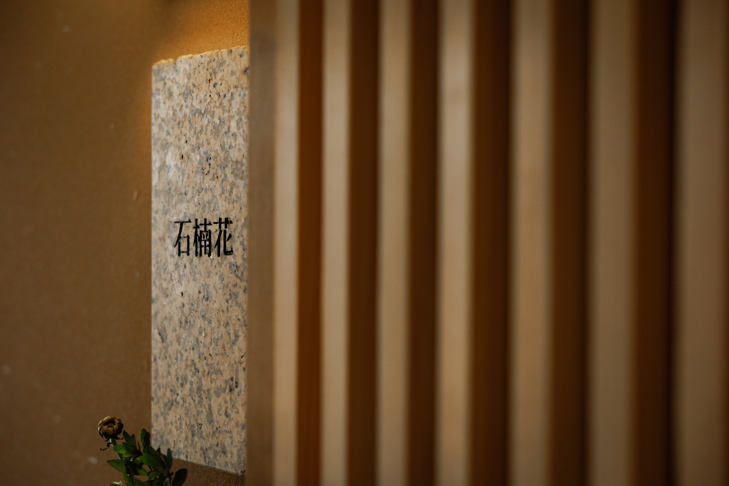 Semi Suite - Shakunage